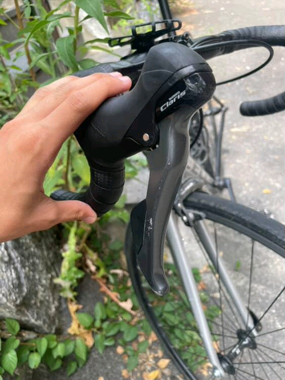 첼로 스칼라티 A1 이미지