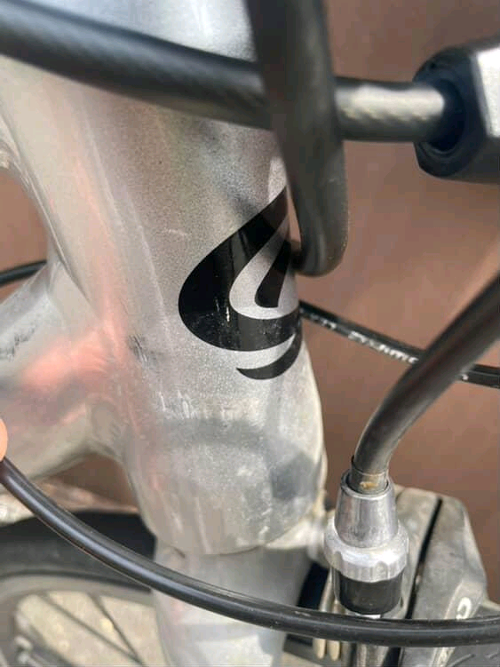 첼로 스칼라티 A1 이미지