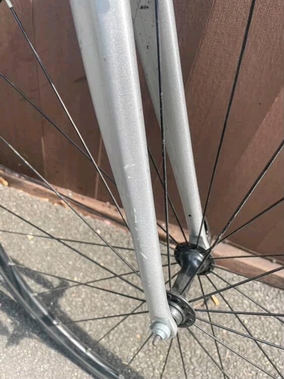 첼로 스칼라티 A1 이미지