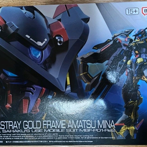 RG 아스트레이 골드 프레임 아마츠 미나 택포