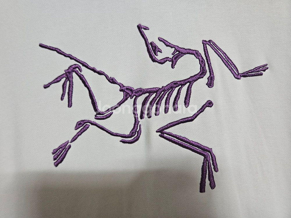 S급/아크테릭스&팔라스 사이즈 M--2