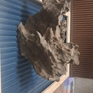 유목 수족관 어항용품