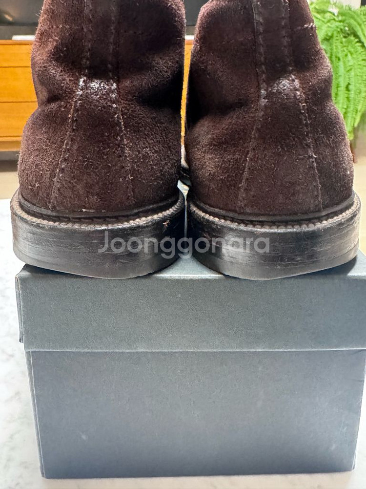 alden 스웨이드 처카 13661--2