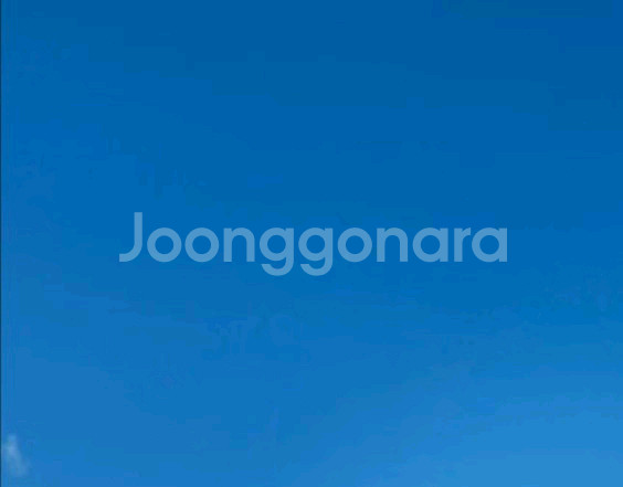 메가mgc 아이스 아메리카노( 메가 아이스아메리카노)--0