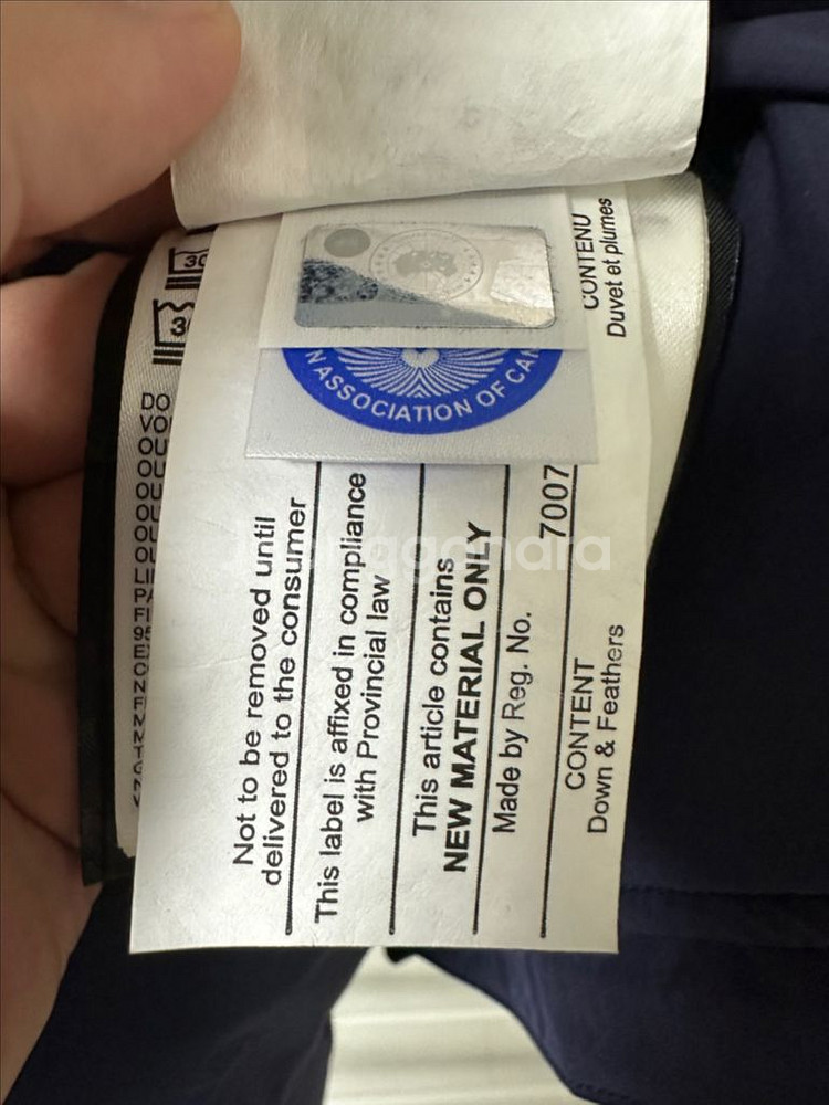 [L] 캐나다구스 하이브리드 여성 패딩 점퍼--5