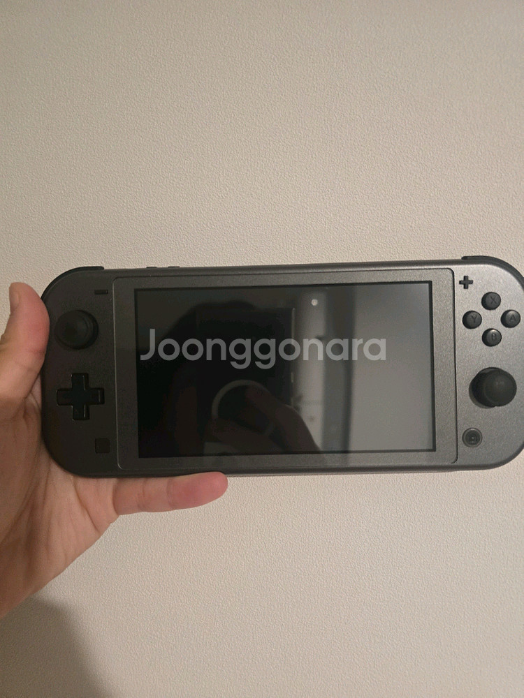 닌텐도 스위치 라이트 한정판--0