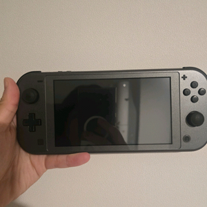 닌텐도 스위치 라이트 한정판