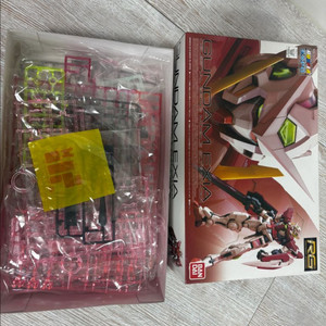 rg엑시아 클리어 트란잠 엑스포 한정 편광