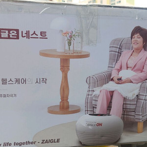 자이글온 네스트 고주파심부발열