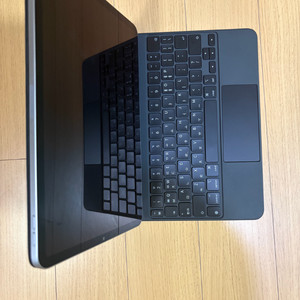 아이패드 프로 11인치 M2 2TB 와이파이