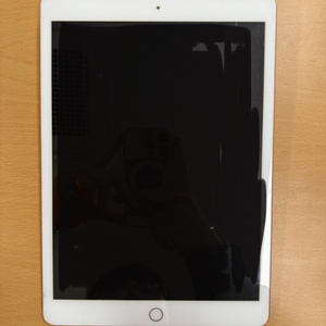 아이패드 에어 2세대 64GB WiFi