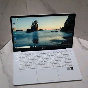 LG그램 14인치 i5 10세대 24gb 1tb