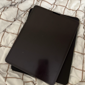 아이패드 프로 4세대 12.9인치 팝니다!!!!