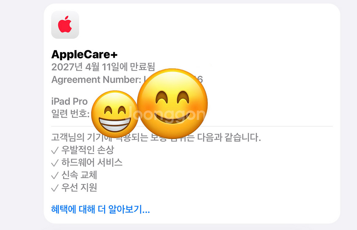 아이패드 프로 11인치 M2 2TB 와이파이--3