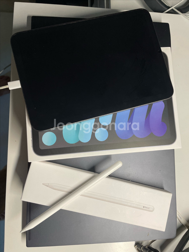 아이패드 미니 6세대 스그 + 애플펜슬2세대--0