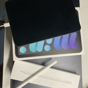 아이패드 미니 6세대 스그 + 애플펜슬2세대