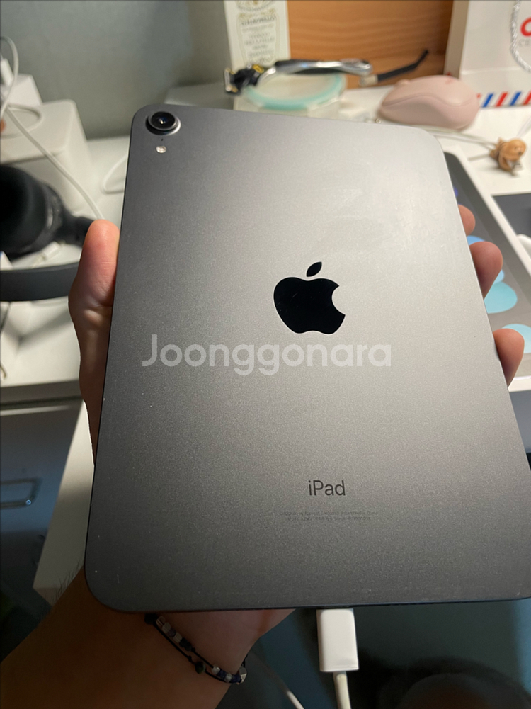 아이패드 미니 6세대 스그 + 애플펜슬2세대--1