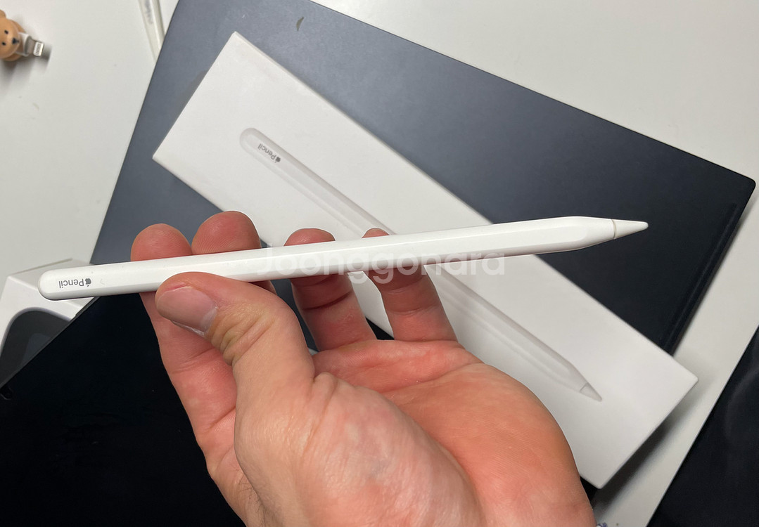 아이패드 미니 6세대 스그 + 애플펜슬2세대--5