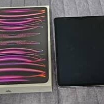 아이패드 프로 6세대 12.9 256기가 셀룰러(애케플)급처합니다