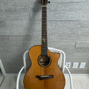 고퍼우드 i320 rce