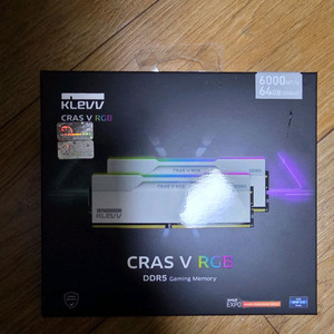 에센코어 cras 화이트램 CL30 64g 6000