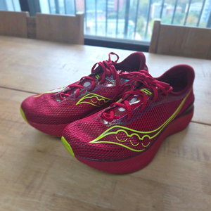 써코니 엔돌핀 프로3 280