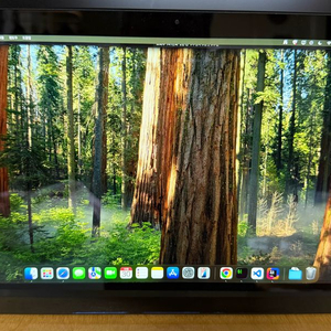 디엘티 모넥스 M214PM 14인치 포터블 모니터 판매합니다