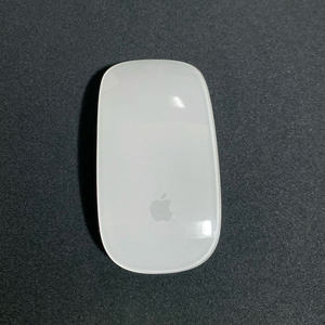애플 매직마우스2