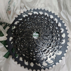 SRAM GX 12단 스프라켓 52T , 체인