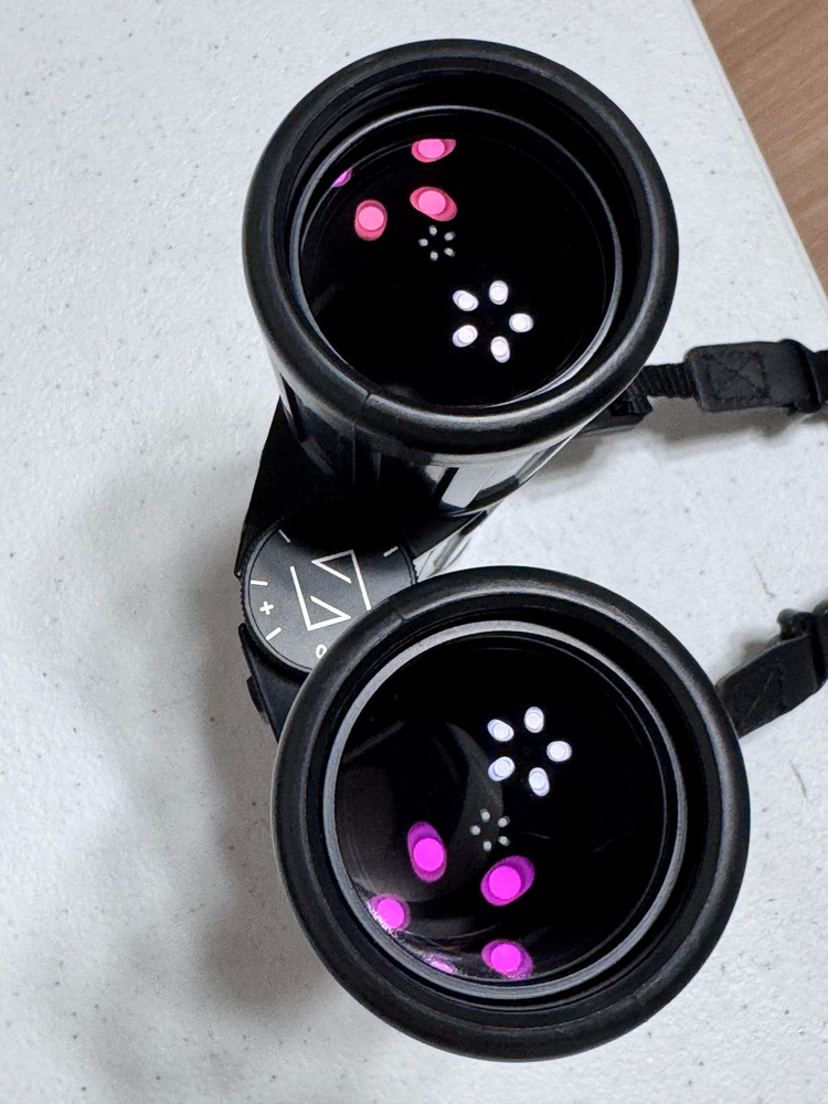 zeiss classic Dialyt 10x40B T*P* 쌍안경--4