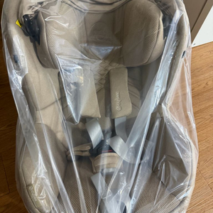 씨이벡스 제로나t