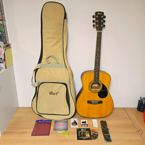 콜트 통기타, 어쿠스틱기타