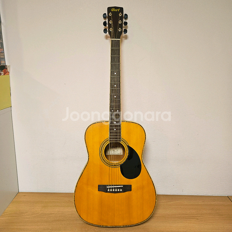 콜트 통기타, 어쿠스틱기타--1