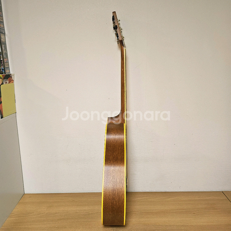 콜트 통기타, 어쿠스틱기타--4