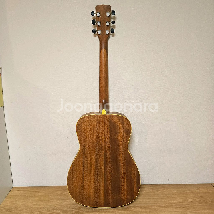 콜트 통기타, 어쿠스틱기타--3