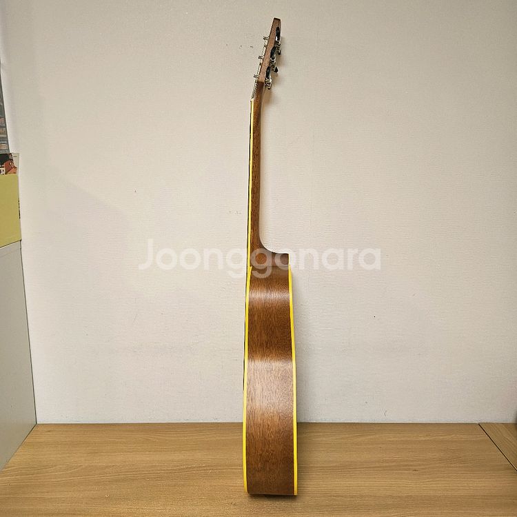 콜트 통기타, 어쿠스틱기타--5