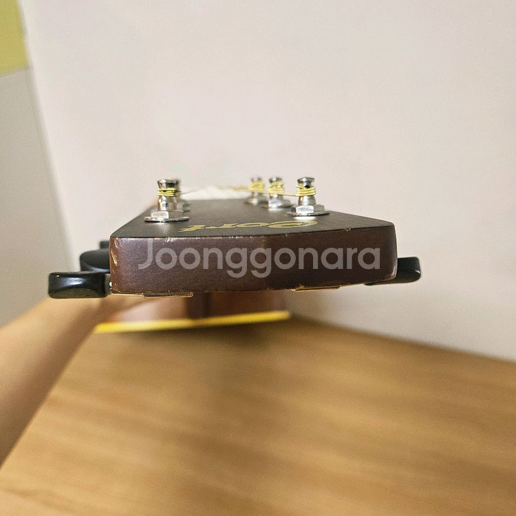 콜트 통기타, 어쿠스틱기타--8