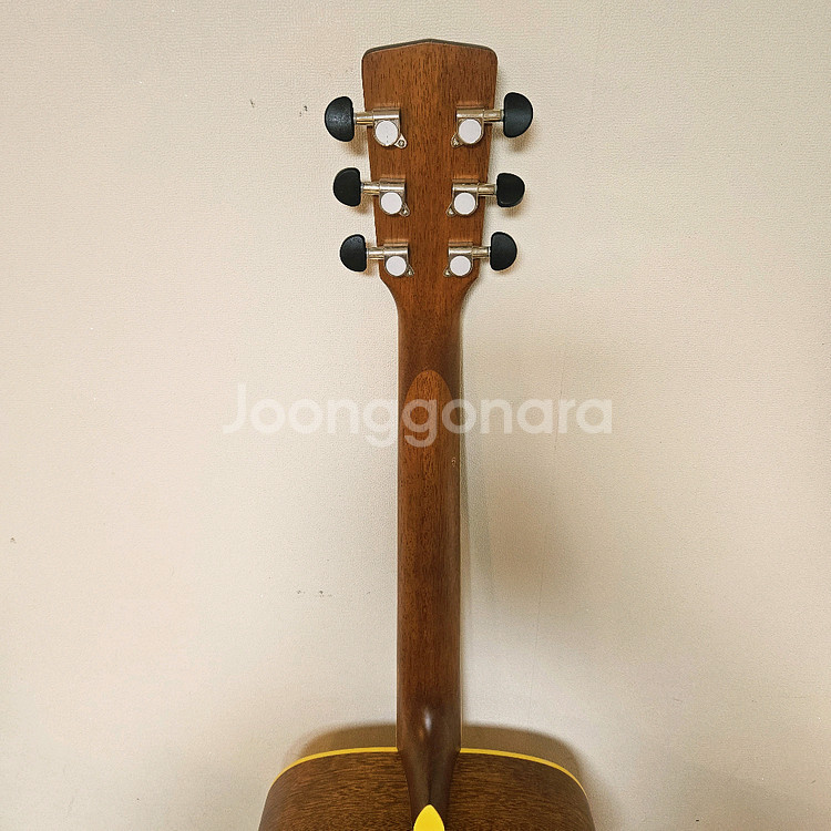 콜트 통기타, 어쿠스틱기타--6