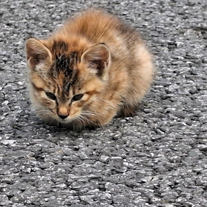 부속품 짬뽕m4 물건정리