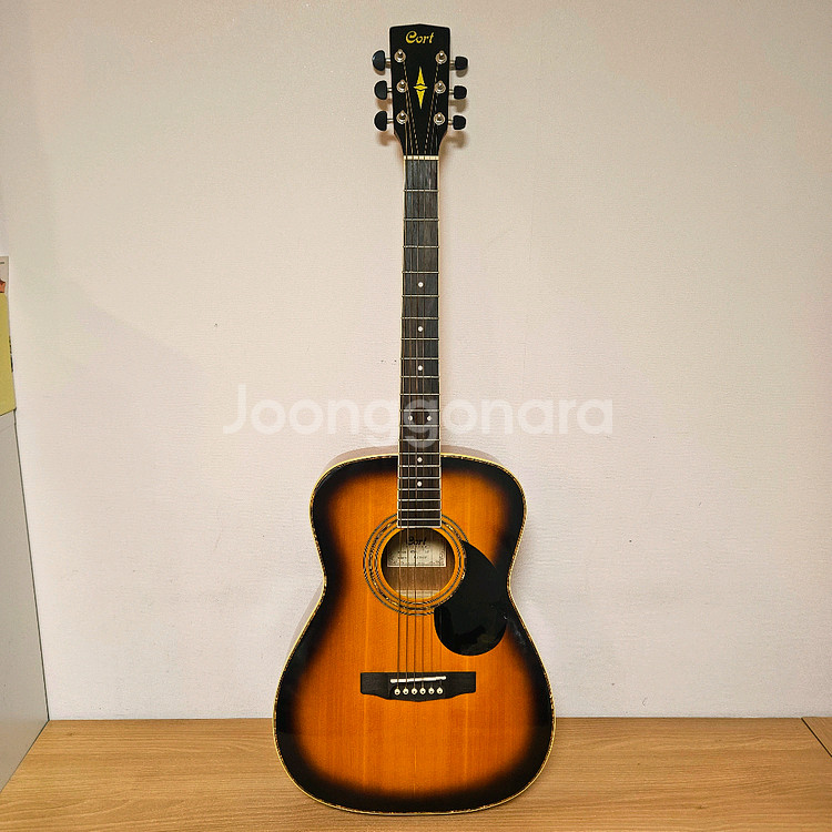 콜트 통기타, 어쿠스틱기타--1
