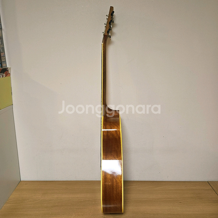 콜트 통기타, 어쿠스틱기타--5