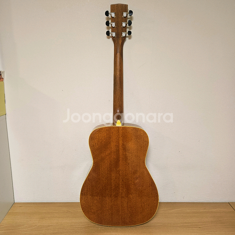 콜트 통기타, 어쿠스틱기타--3