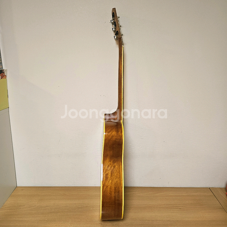 콜트 통기타, 어쿠스틱기타--6