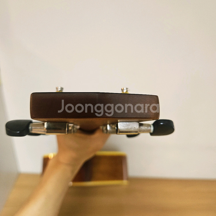 콜트 통기타, 어쿠스틱기타--7