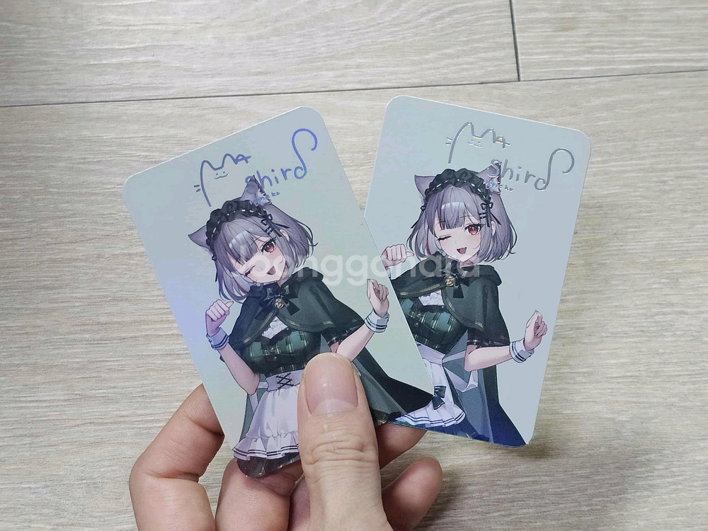 스텔라이브 쿠크다스 포카--0