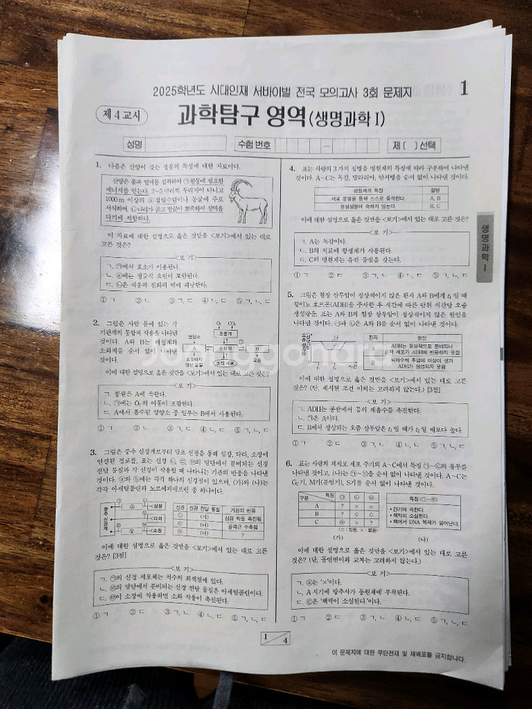 시대인재 생명1 2025서바이벌,브릿지,LCS모의고사--2