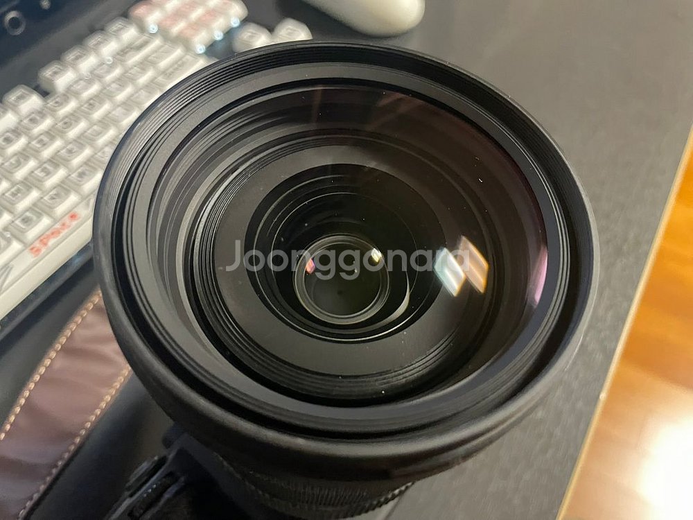 부산) A7m3 + SIGMA A24-70mm F2.8--1