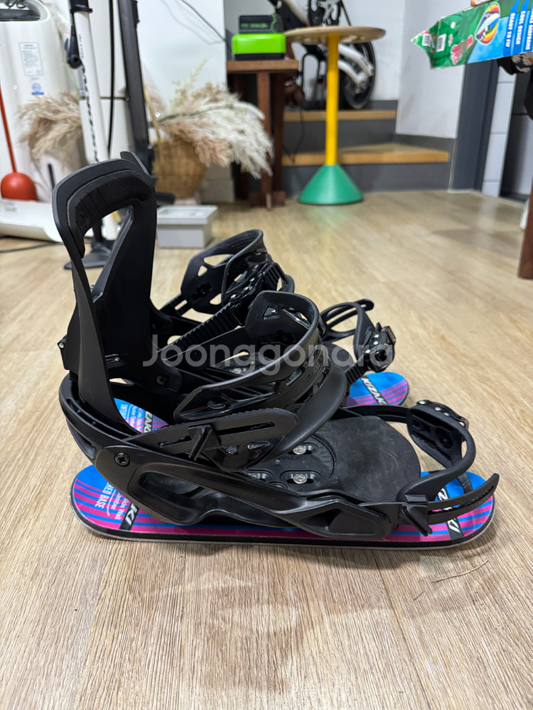 인라인스키. 스키에이트.--2