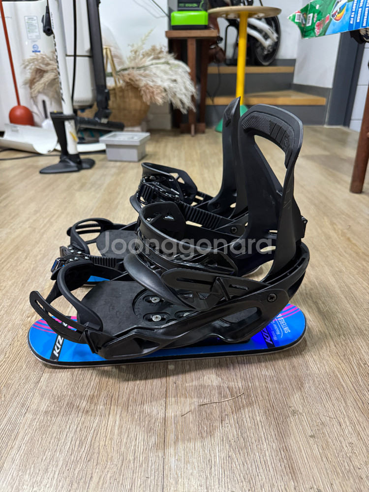 인라인스키. 스키에이트.--4