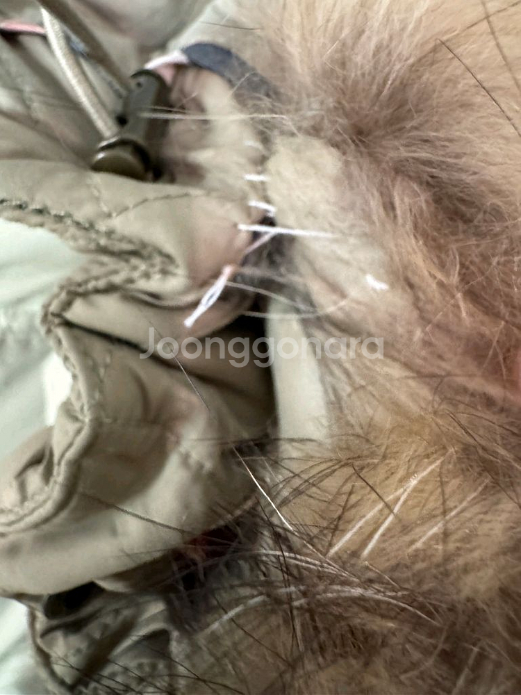 버버리브릿 구스 패딩 (66)--3